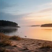 Половинки